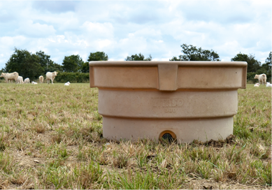 Quels sont les besoins en eau pour mon troupeau de vaches laitières ? 