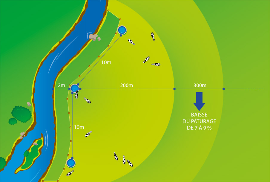 Quels sont les besoins en eau pour mon troupeau de vaches laitières ? 